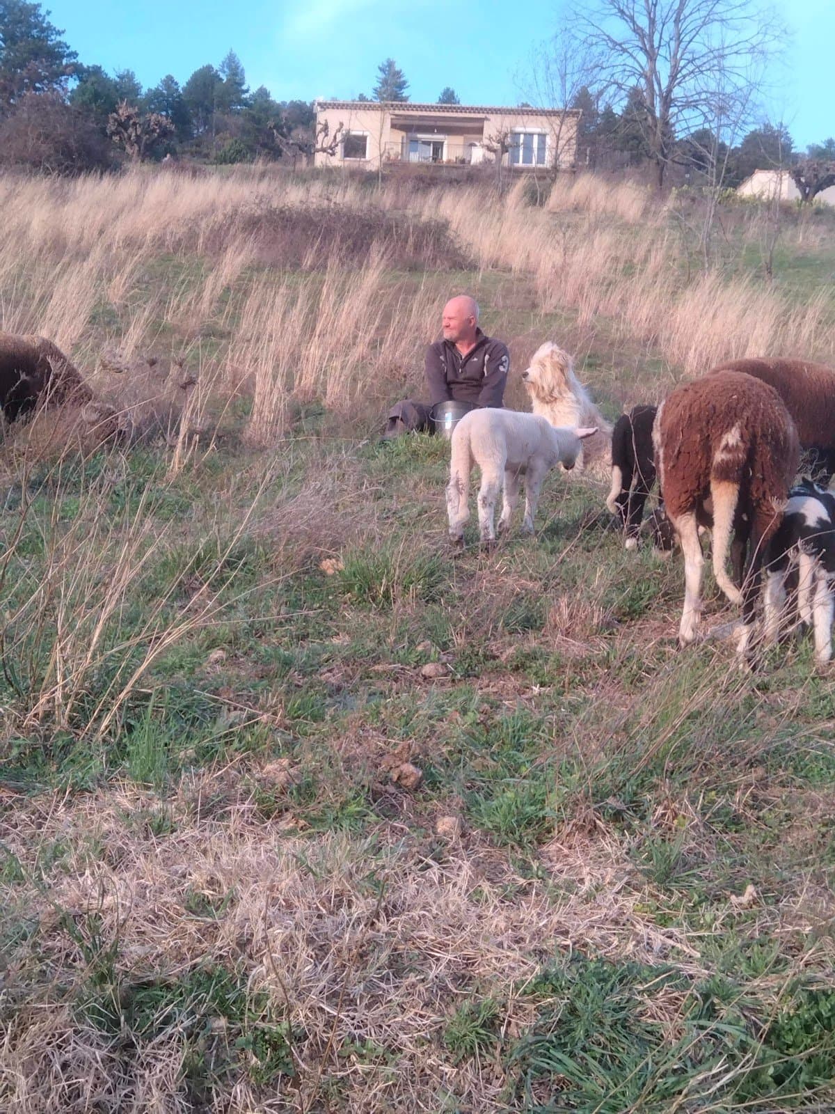 Photo 4 — la ferme colal
