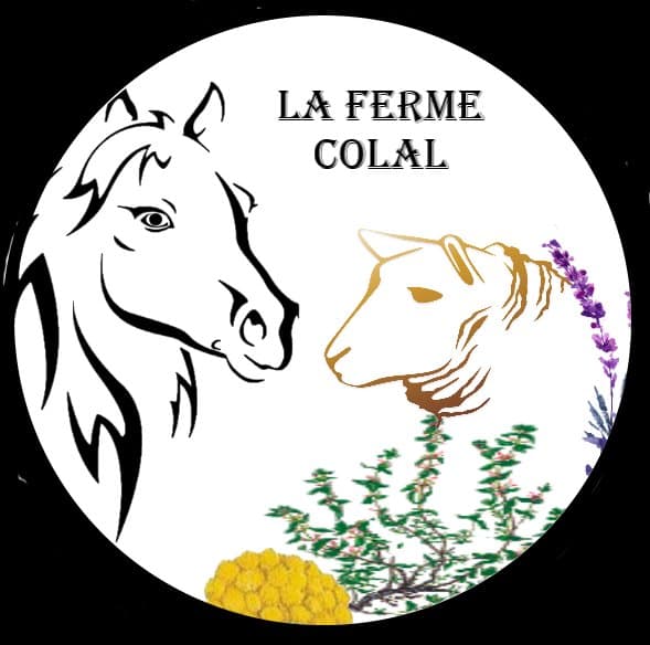 Photo 9 — la ferme colal