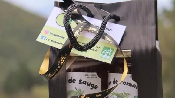 Photo 2 — La Mandaline
