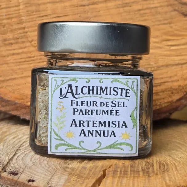 Photo 4 — La Mandaline