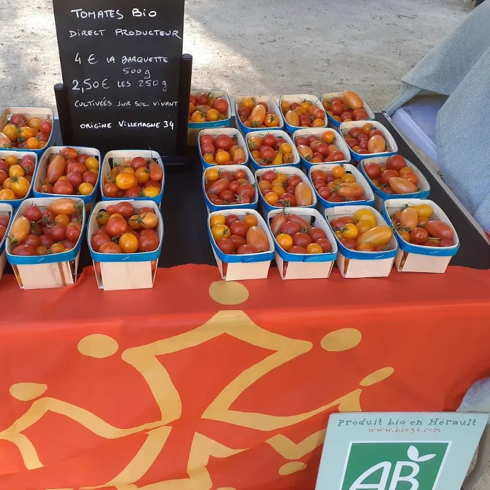 Photo 6 — La Mandaline