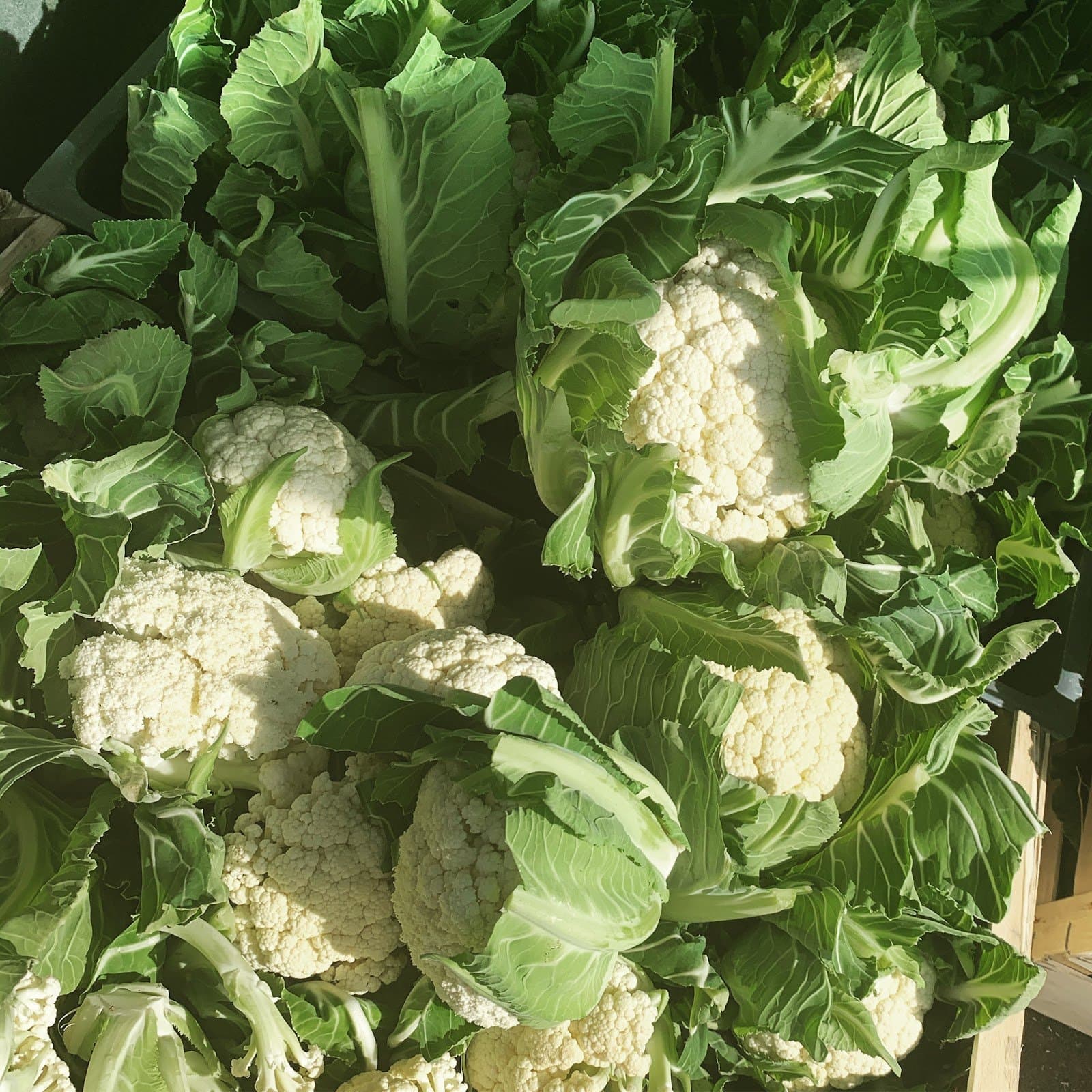 Photo 3 — Les Rêves d'Annabelle