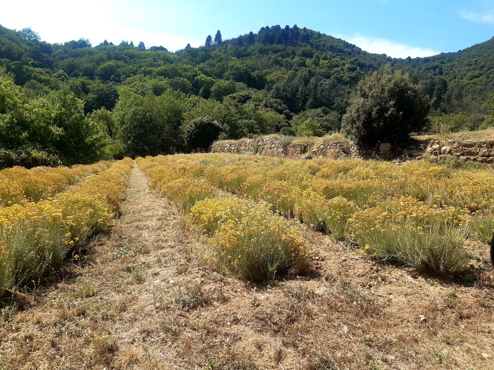 Couverture — la ferme colal